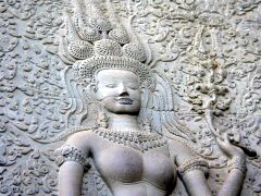 ����������f�o�^�[