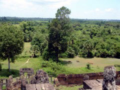 �X�̒��̈��