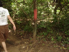 �n������