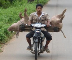 �o�C�N�Ɠ�