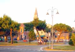 �H�����������X�g�����e